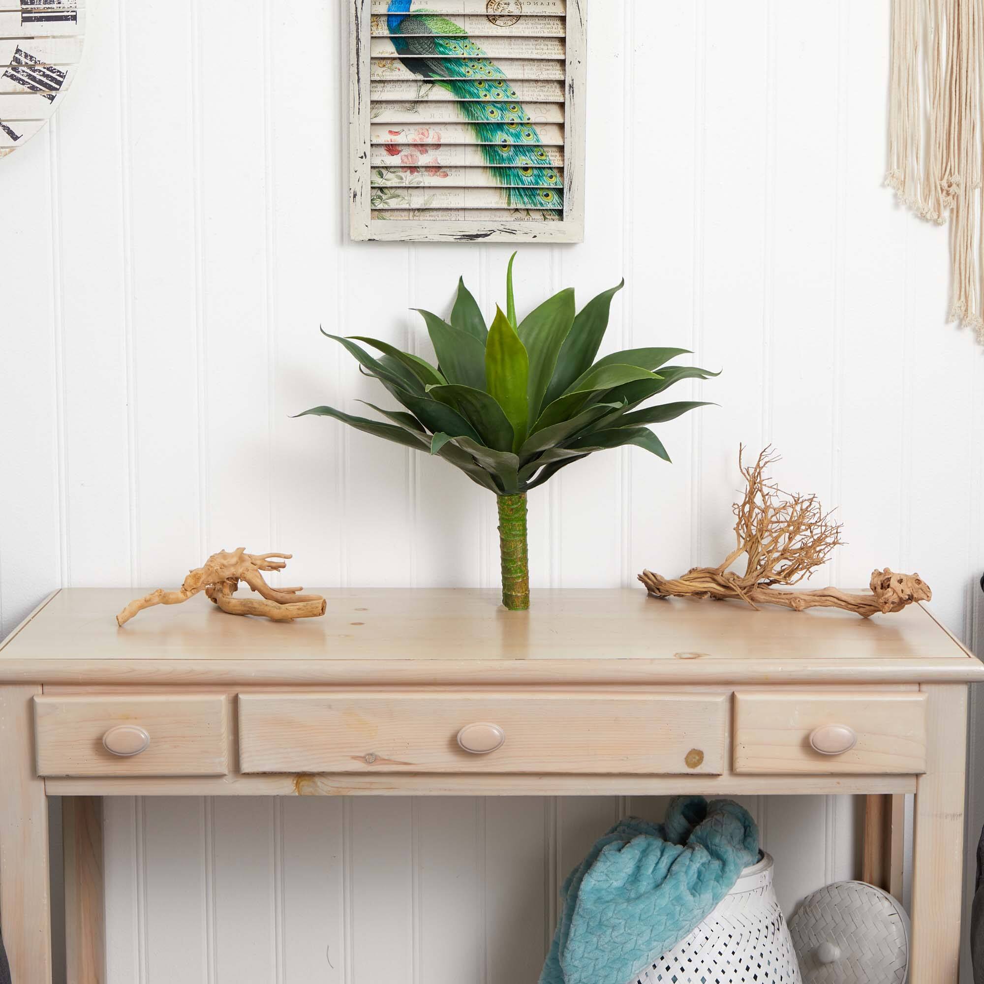 19" Agave Plant Set